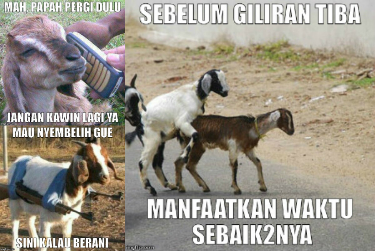 100 Gambar DP BBM Meme Kocak Lucu Gokil Gudang Gado Gado